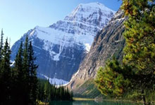 2010年世界杯西班牙的阵型图有什么特点？